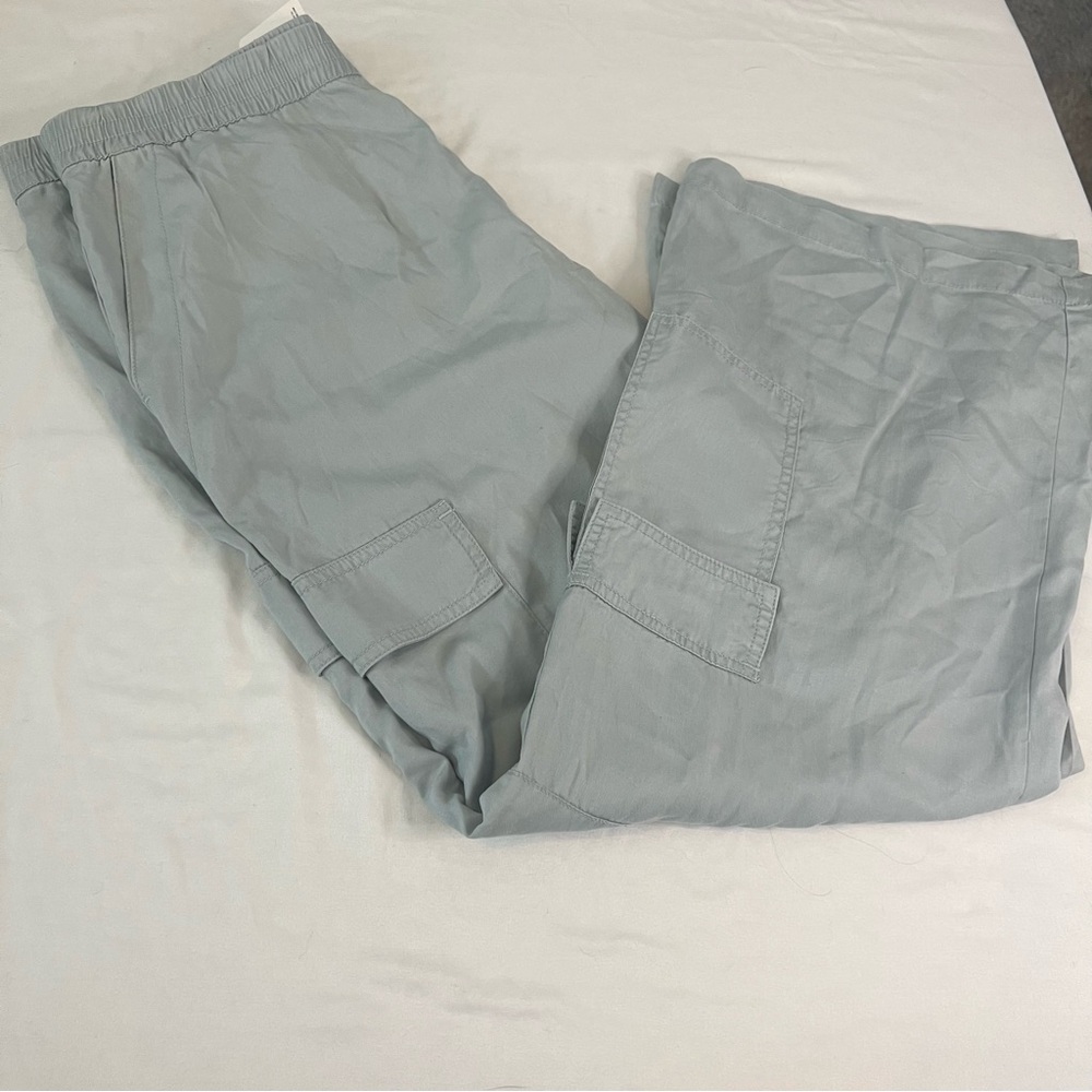 Sanctuary Women’s Light Gray Cargo Pants Size XL NWT